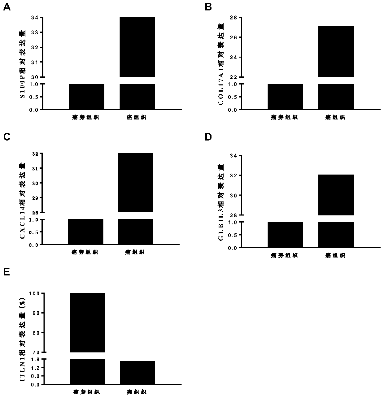 Lung adenocarcinoma biomarkers and related application