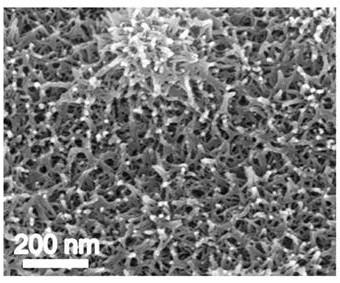 Porous dual-metal hydroxide catalyst for electric catalysis of alcohol selective oxidation and preparation method and application thereof