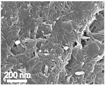 Porous dual-metal hydroxide catalyst for electric catalysis of alcohol selective oxidation and preparation method and application thereof