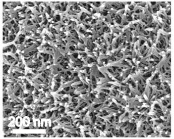 Porous dual-metal hydroxide catalyst for electric catalysis of alcohol selective oxidation and preparation method and application thereof