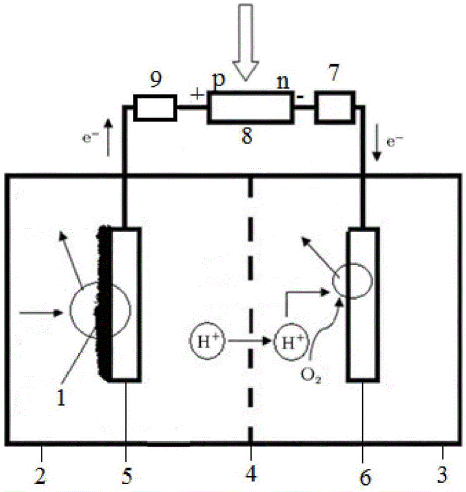 Microbial fuel cell system capable of improving efficiency by solar energy and construction method for microbial fuel cell system