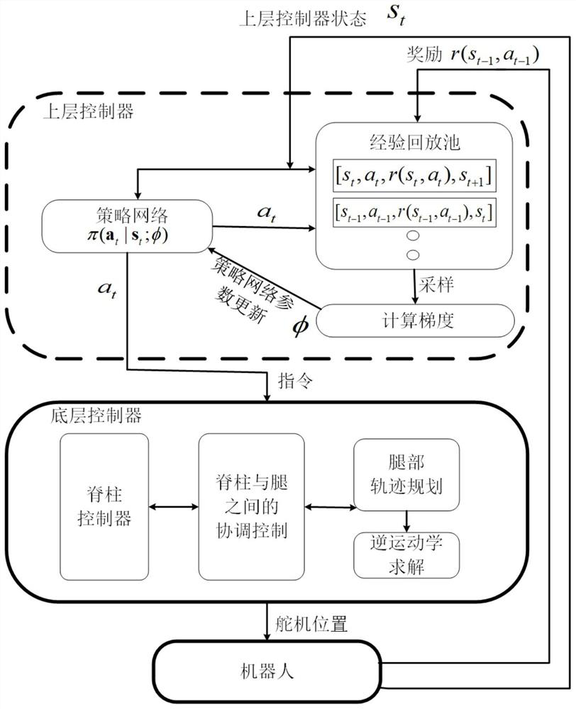 A Reinforcement Learning-Based Hierarchical Control Method for Salamander Robot Path Tracking