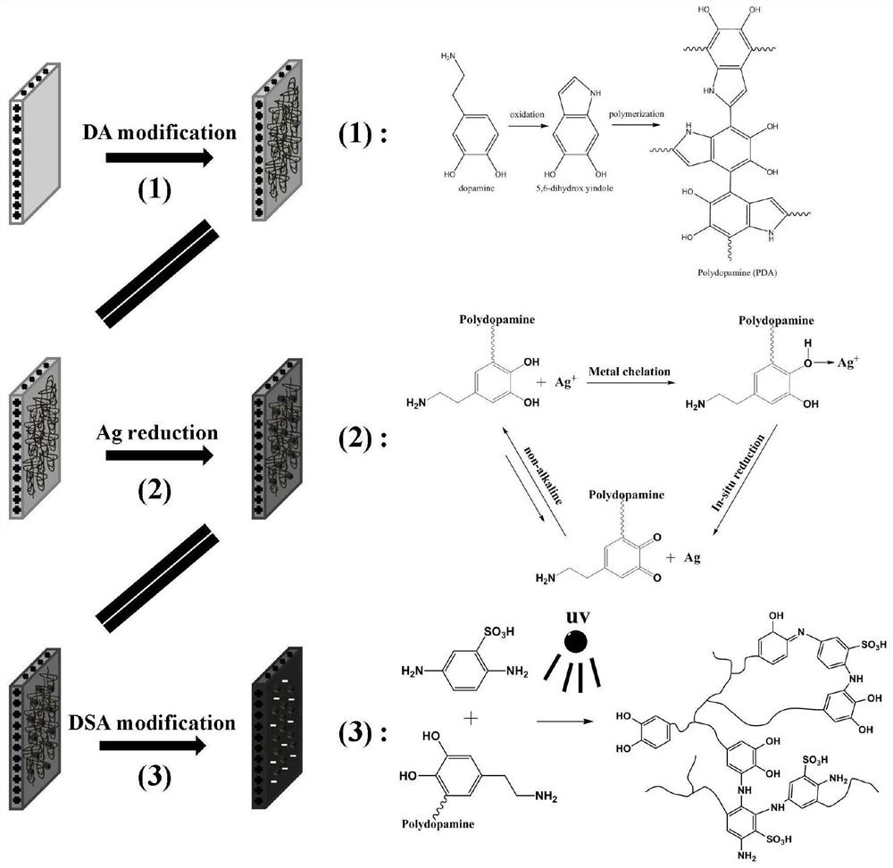 A method for preparing a modified anion-exchange membrane with monovalent selectivity and antibacterial properties