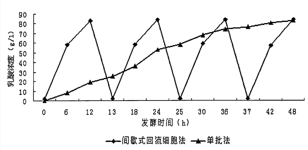 Method for producing organic acid at high production rate through fermentation of intermittent backflow cells