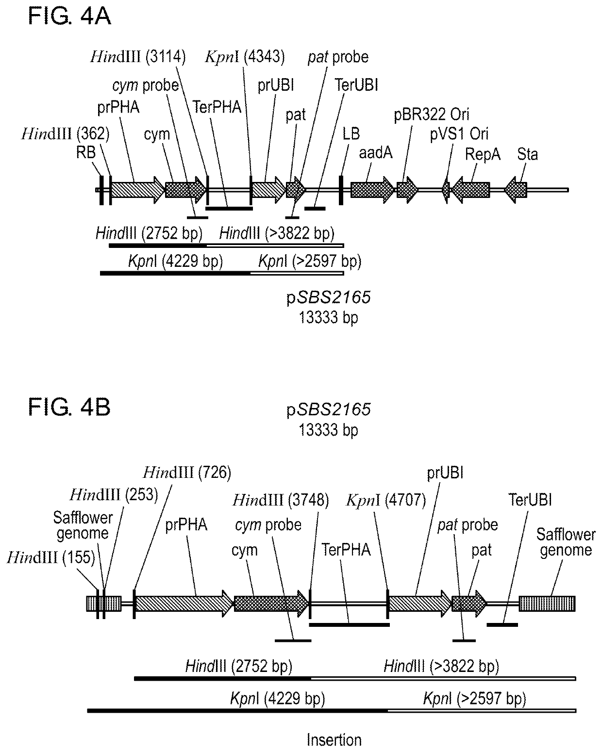 Transgenic Safflower Event Stack IND-1ØØØ3-4 X IND-1ØØ15-7 and Methods to Use It