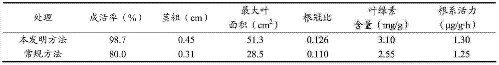 Method for increasing watermelon grafting survival rate