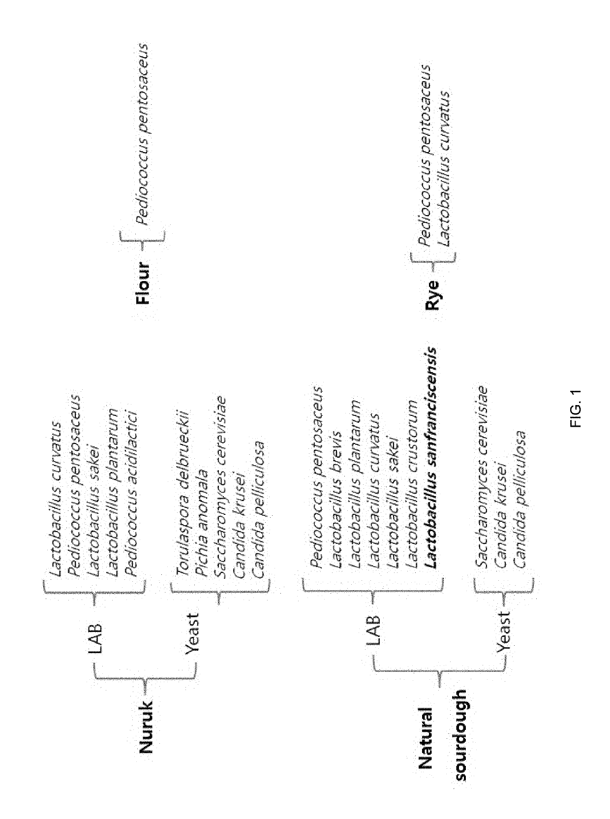 Natural lactic acid bacteria isolated from korean traditional nuruk to be used for bakery