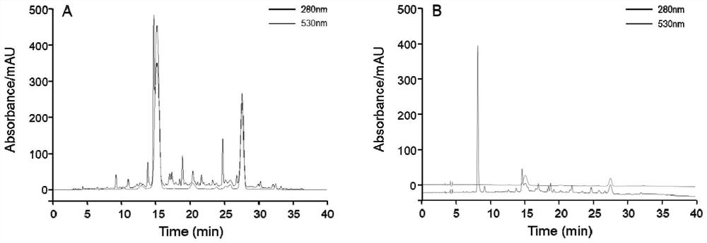 A kind of method of preparing caffeoyl tartaric acid standard substance from thorn grape juice