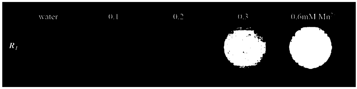 Preparation method of supermolecule polyelectrolyte micelle magnetic resonance imaging contrast agent