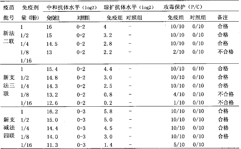 Method for Propagating Infectious Bursal Virus with Chicken Embryo Origin Cell Line to Prepare Inactivated Vaccine and Combined Vaccine