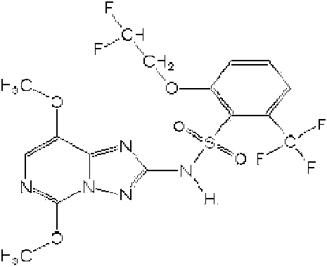 Weed killer composition containing penoxsulam