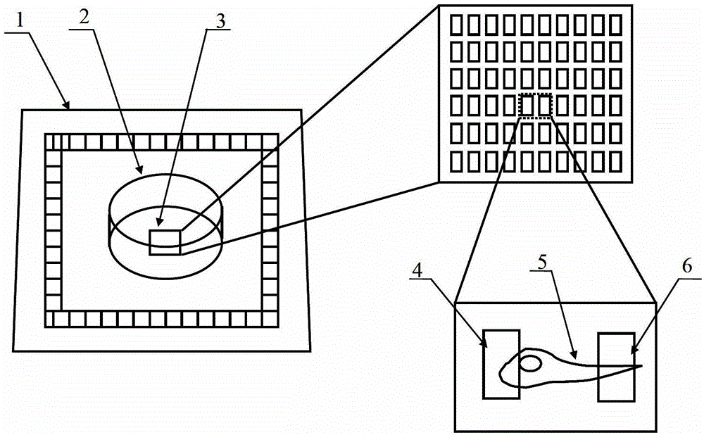 Detection method of nerve cell discharge performance under the action of variable concentration drug