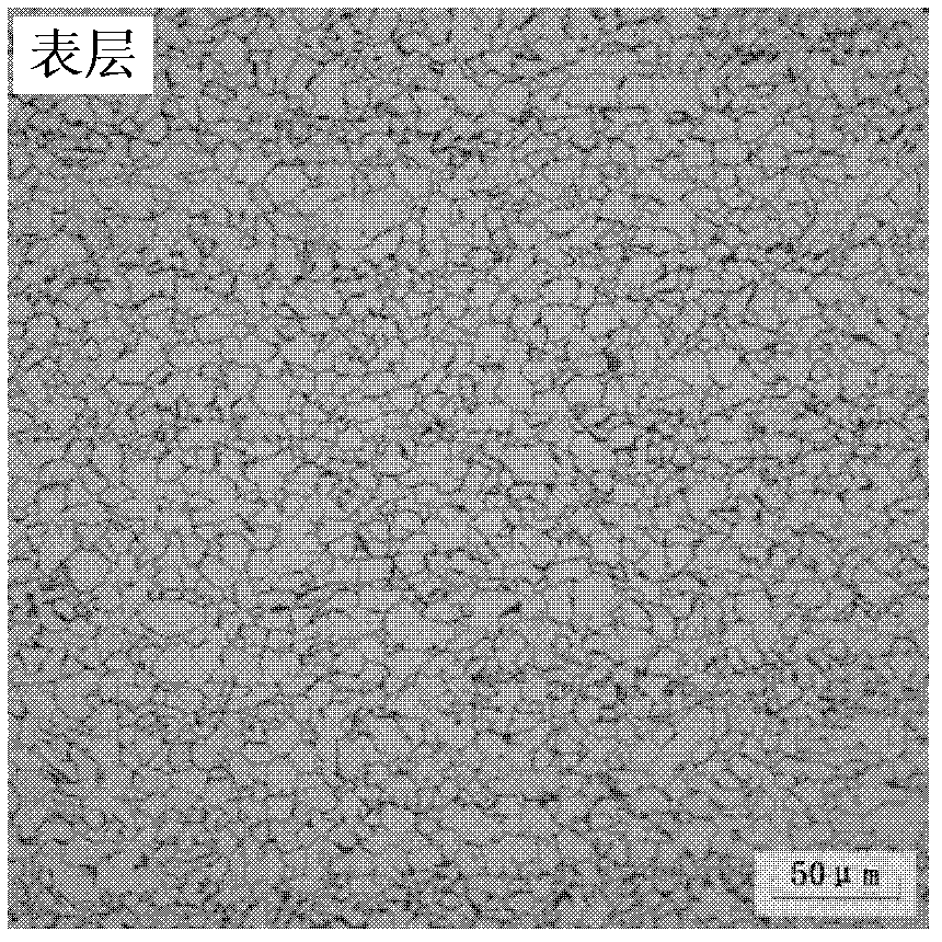 Normalized acid resistant hot-rolled steel plate and preparation method thereof