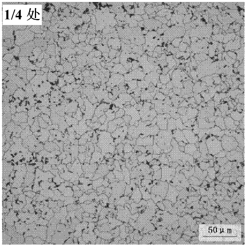 Normalized acid resistant hot-rolled steel plate and preparation method thereof