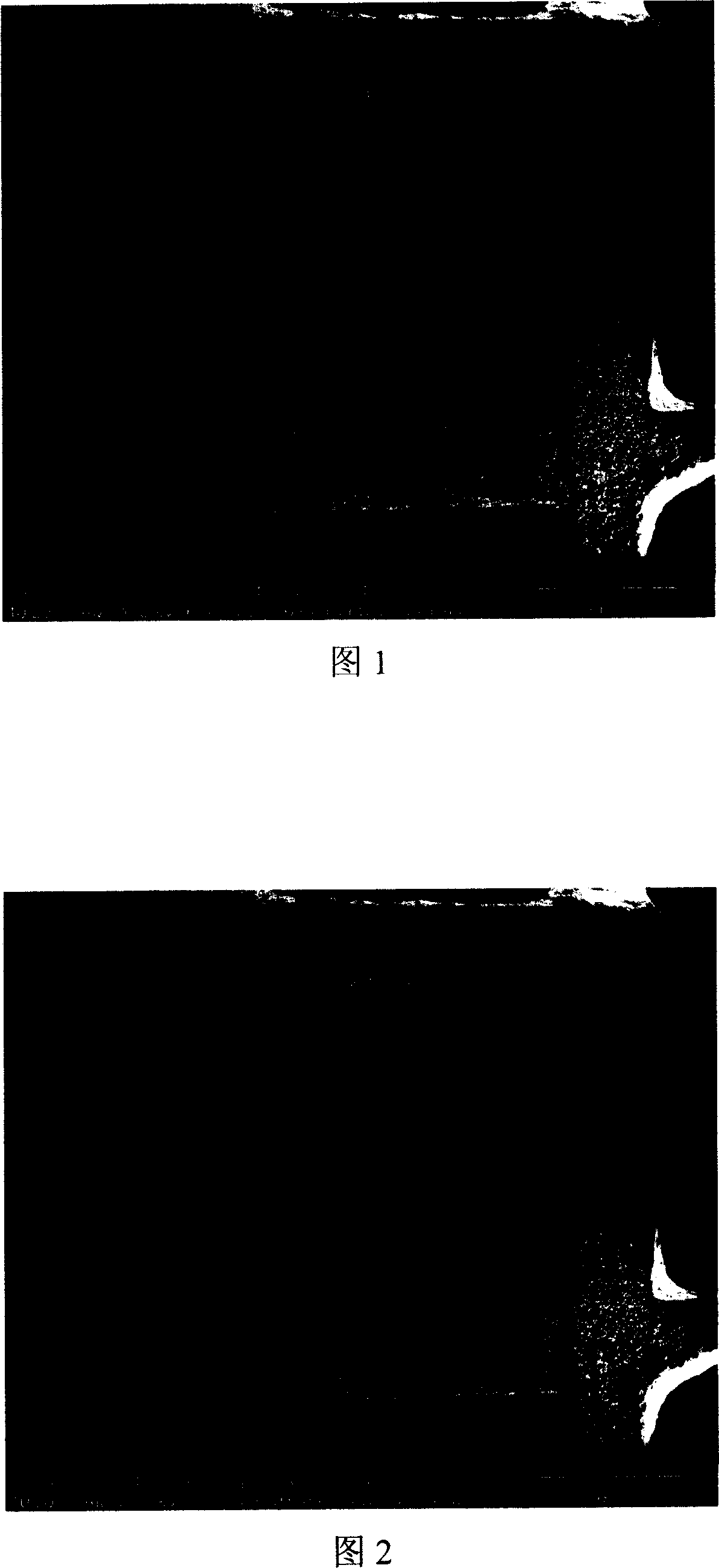 Catalyst in regular structure and its preparing method