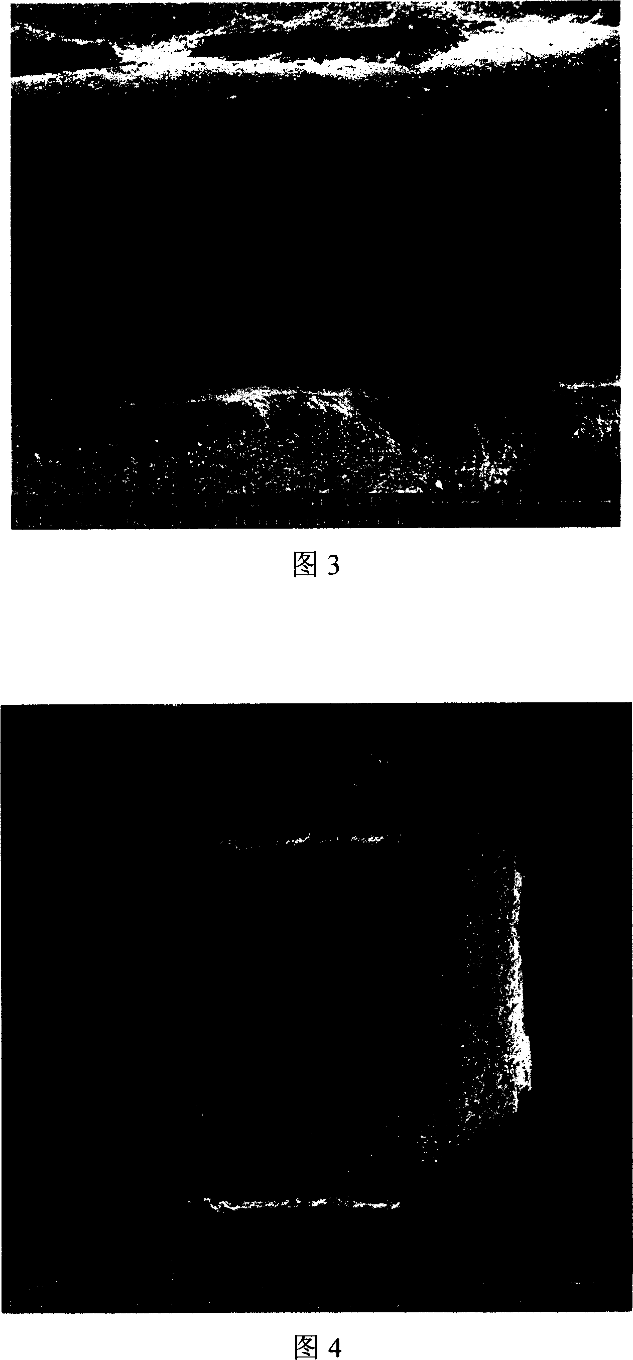 Catalyst in regular structure and its preparing method