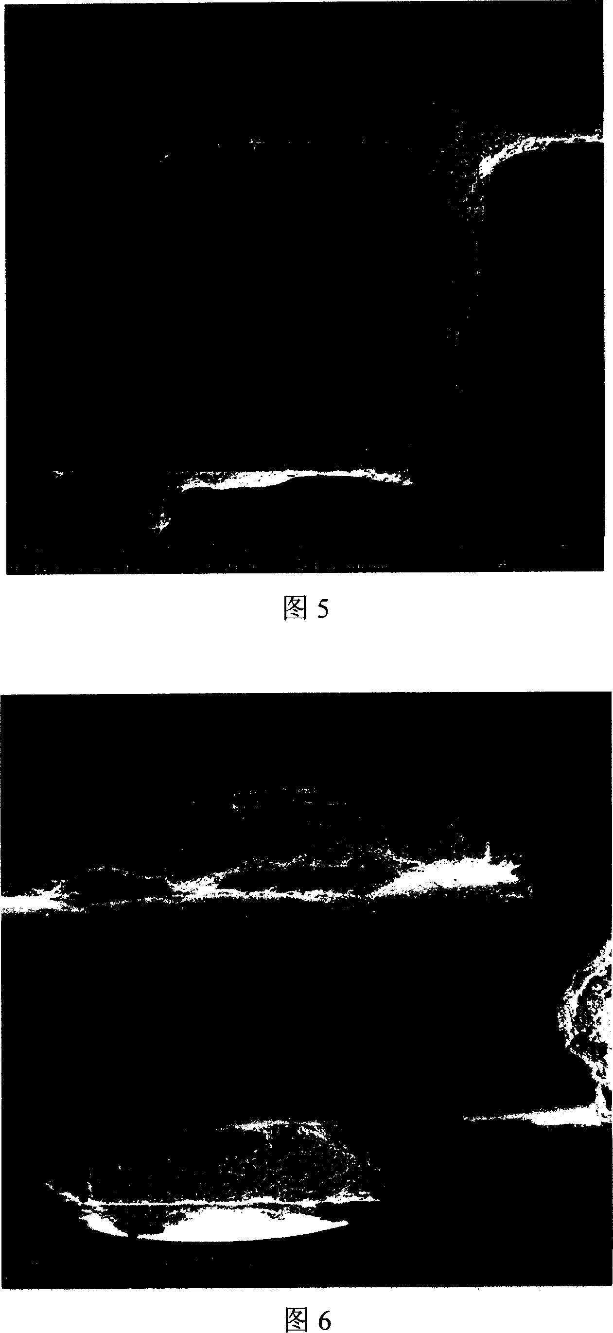 Catalyst in regular structure and its preparing method