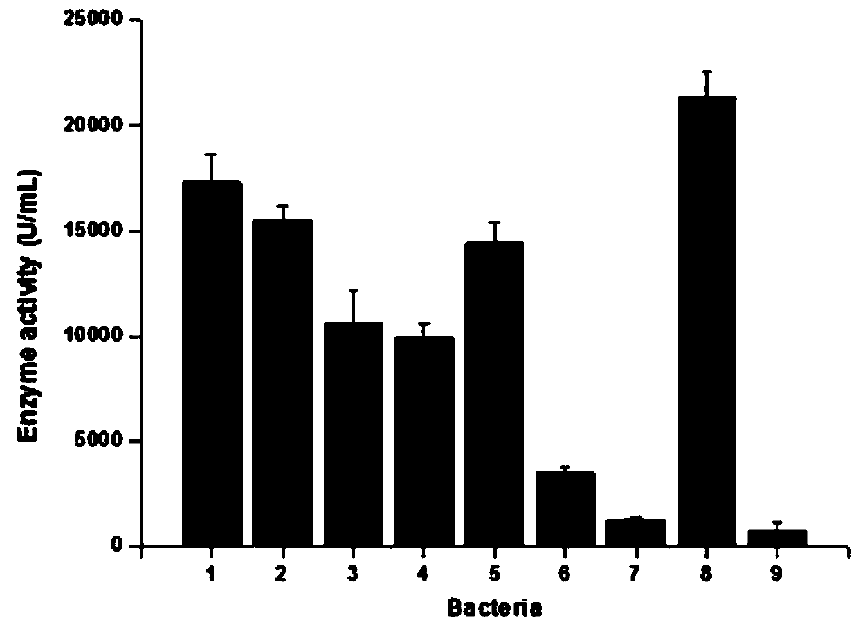 A Recombinant Streptococcus zooepidemicus Fermenting Small Molecule Hyaluronic Acid