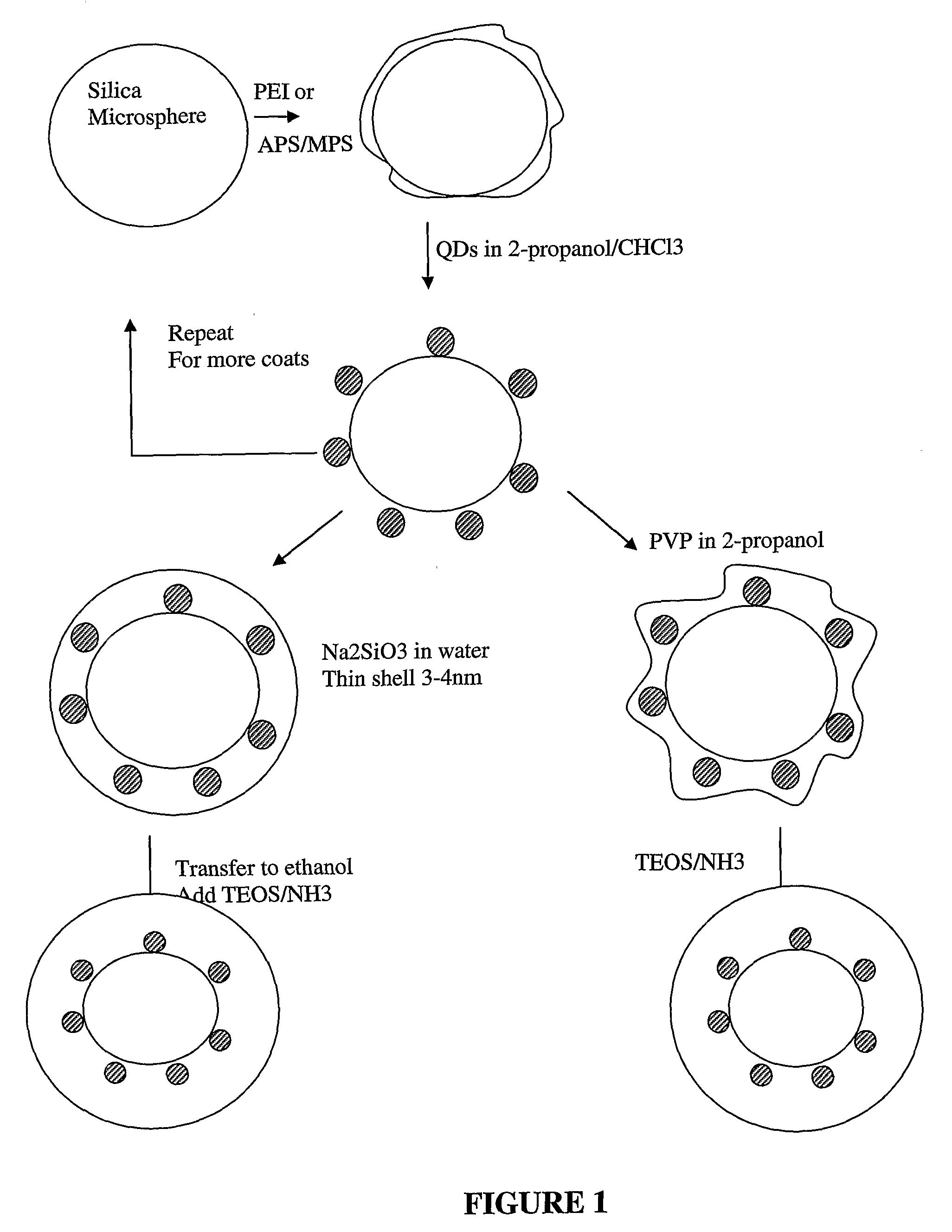 Biosensor Using Whispering Gallery Modes in Microspheres