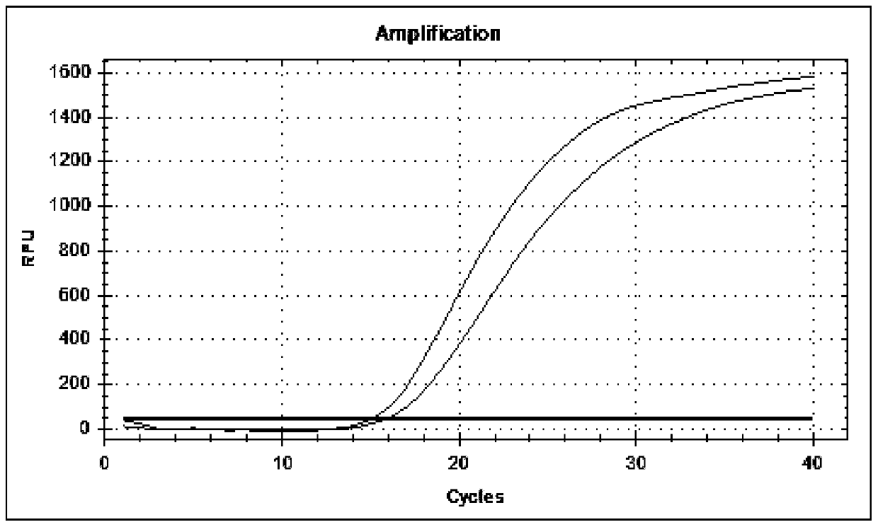 Method for preparing lentiviral particle packaged EBOV RNA as positive reference substance for EBOV nucleic acid detection