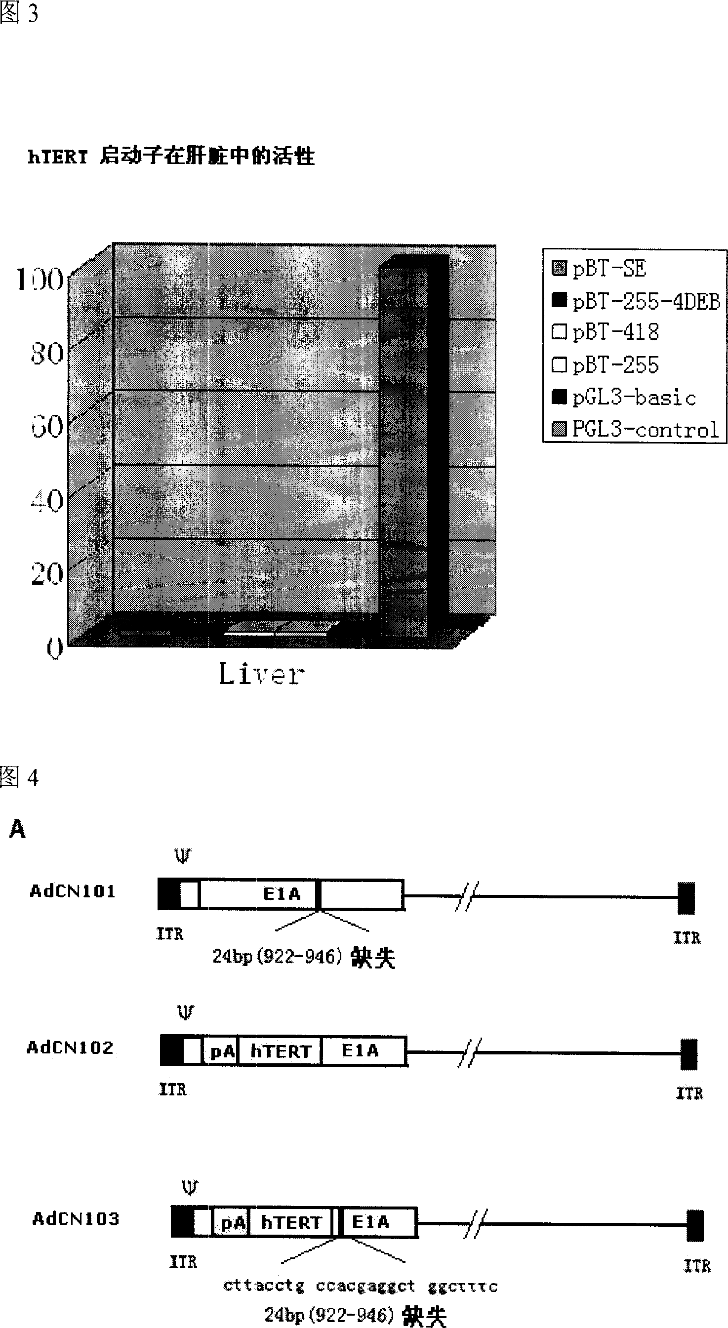 Tumour bi-target adenovirus AdCN103 and its construction method and application