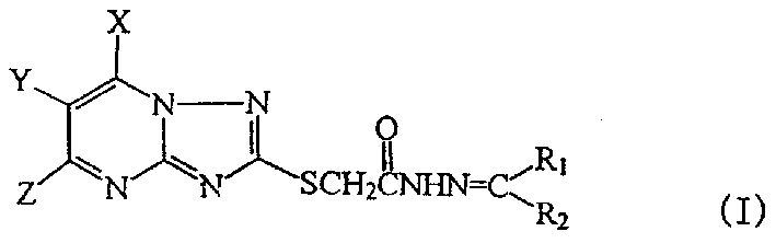 Syntehsis and activity of triazolo-pyrimido-thioacetyl hydrazone compounds