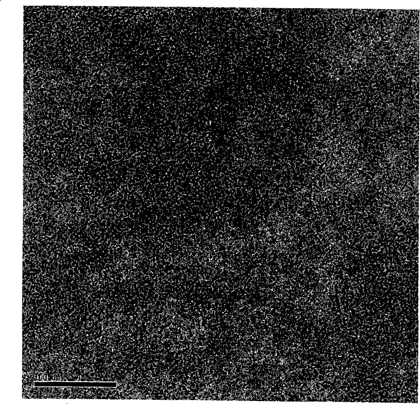 Preparation of Pd nano particle