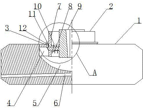 Umbrella base