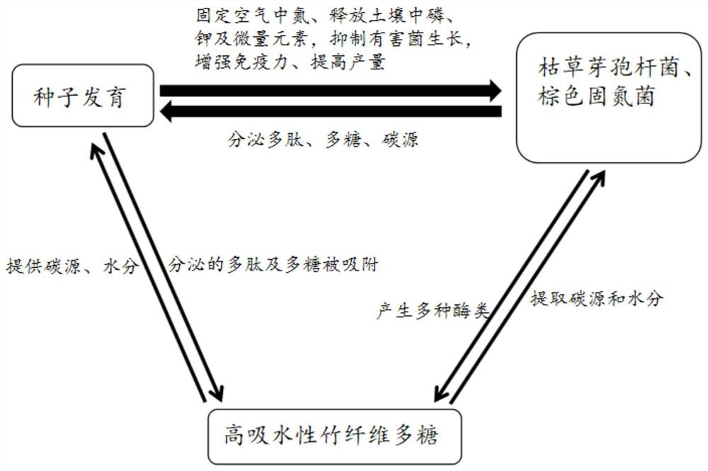 A kind of sand control capsule and its contents and preparation method of the contents