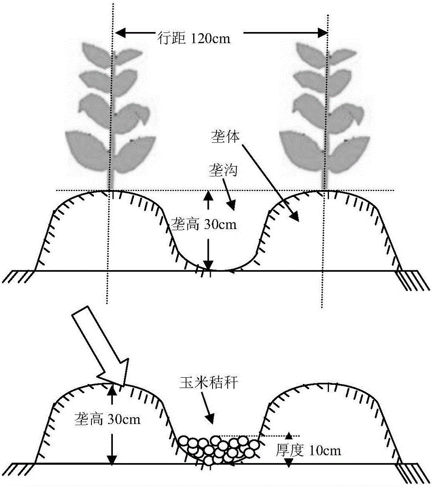 A method for ecological improvement of tobacco planting soil