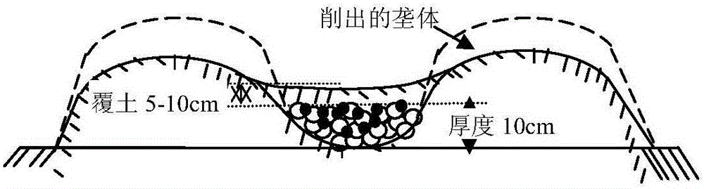 A method for ecological improvement of tobacco planting soil