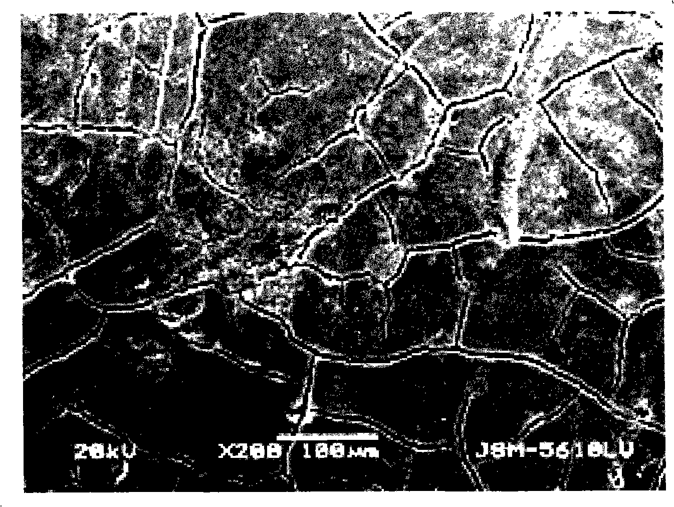 Titanium dioxide thin film and preparation thereof