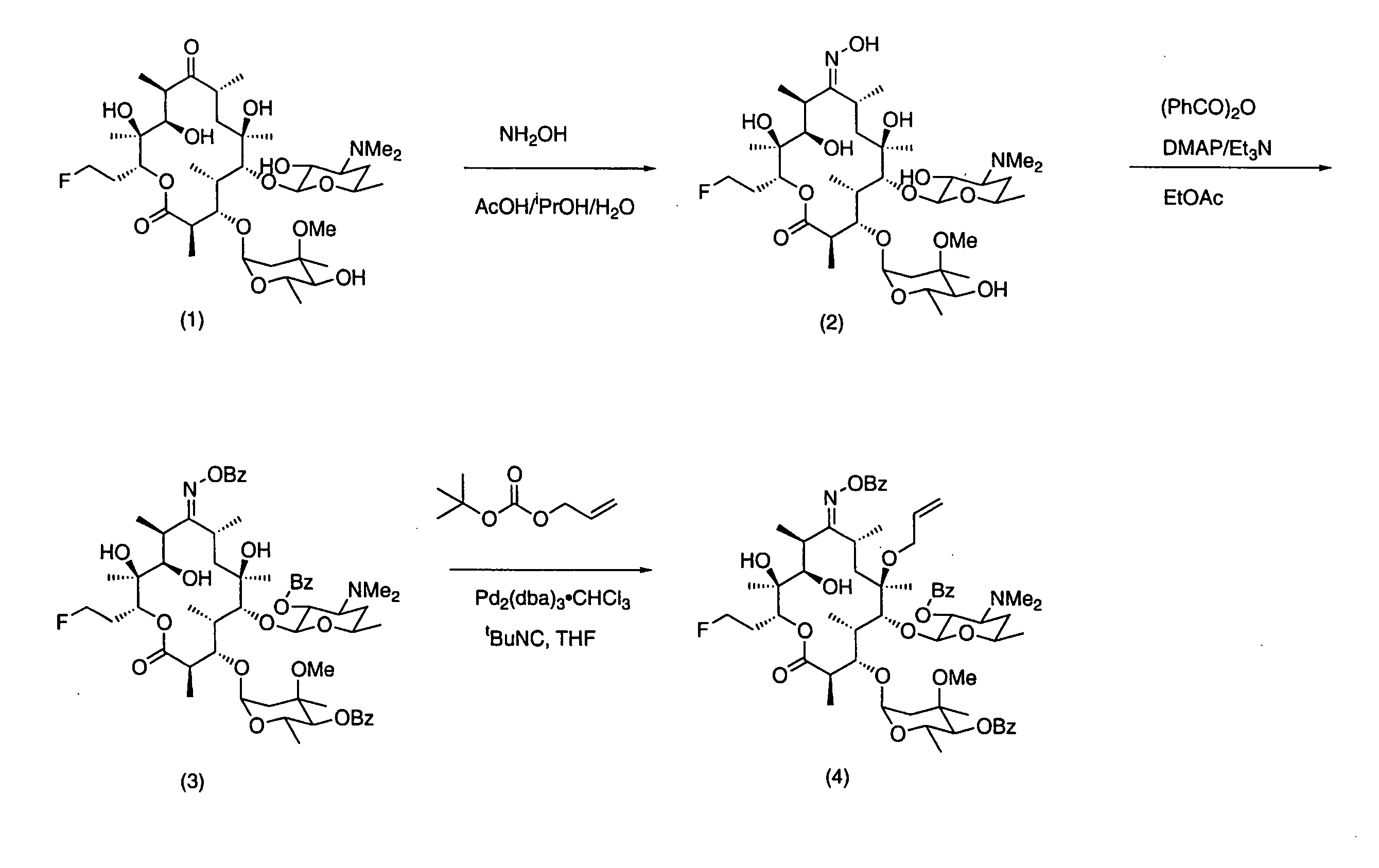 7-Quinolyl ketolide antibacterial agents