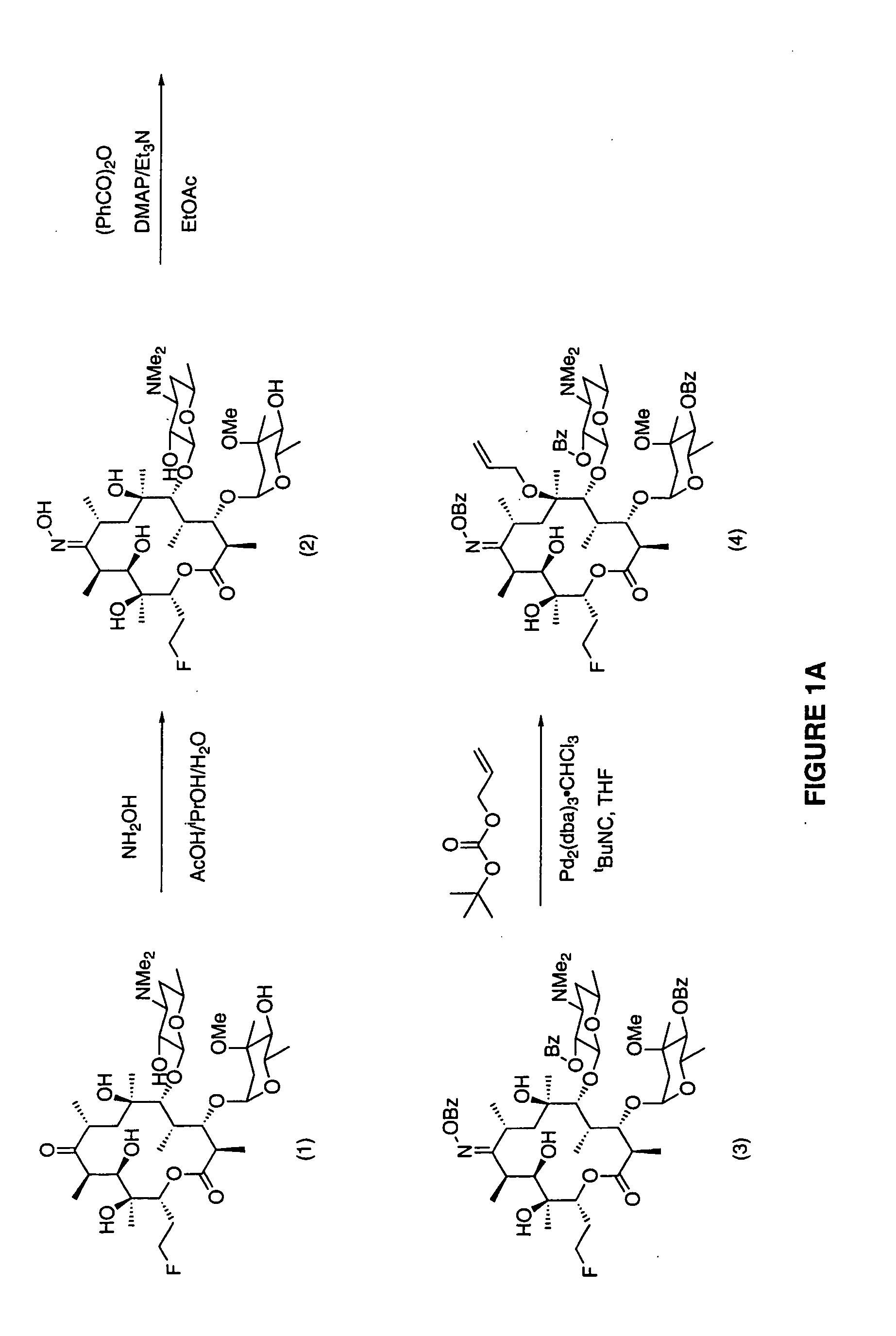 7-Quinolyl ketolide antibacterial agents