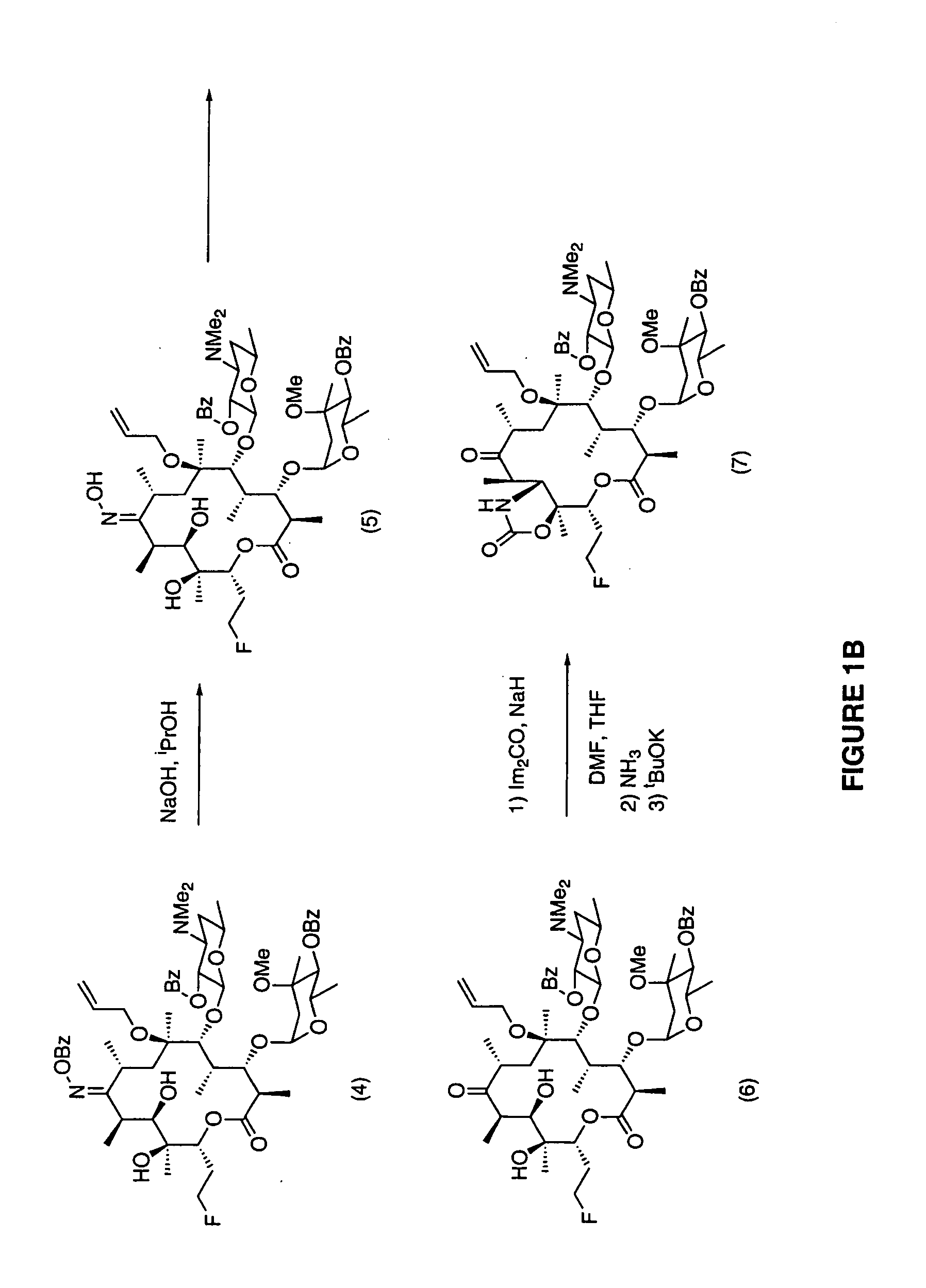 7-Quinolyl ketolide antibacterial agents