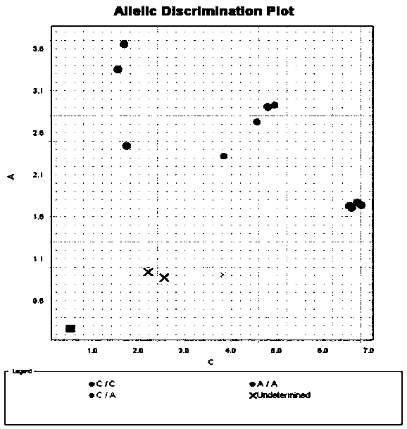 Primer and probe composition for detecting obesity and type 2 diabetes, and application method thereof