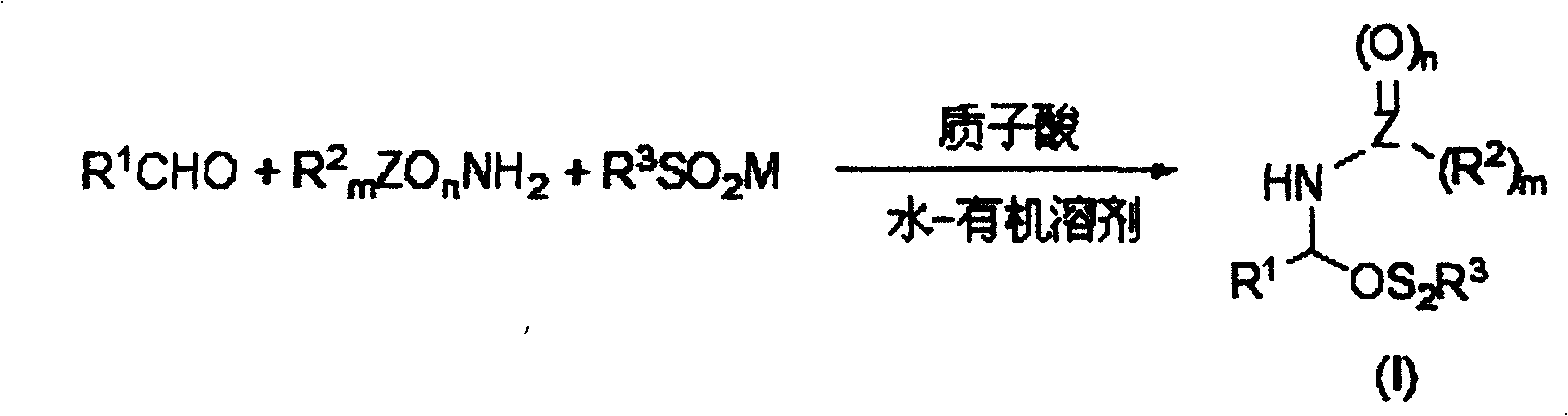 Method of preparing sulfone amide and method of using said sulfone smine to prepare N-substituted imine