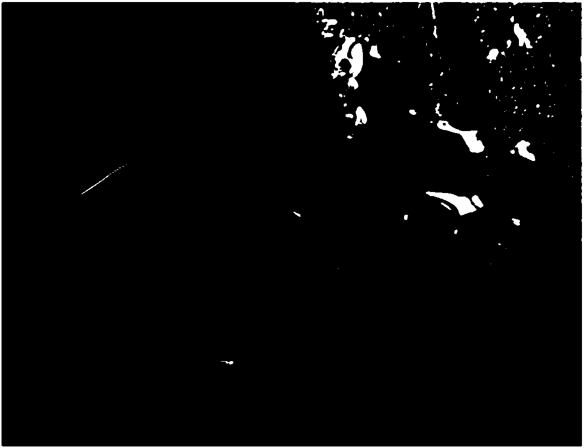 Composition for inhibiting methicillin-resistant staphylococcus aureus biofilm