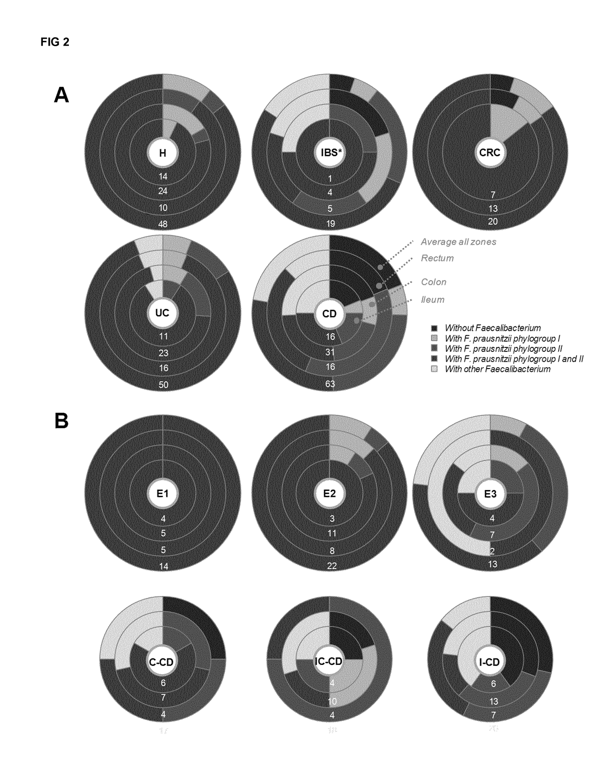 Method for the quantification of faecalibacterium prausnitzii phylogroup i and/or phylogroup ii members and the use thereof as biomarkers