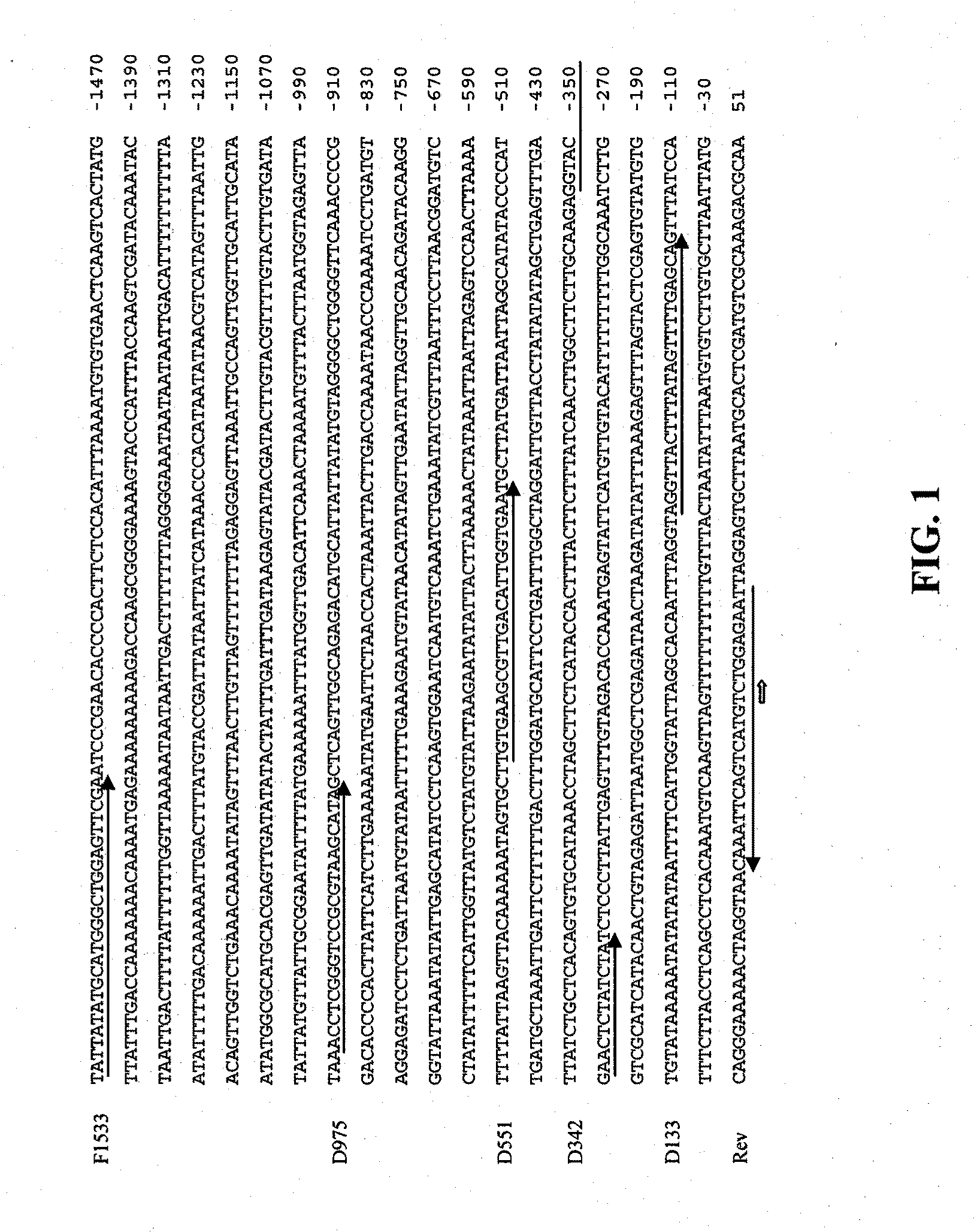 Root-specific phosphate transporter promoters