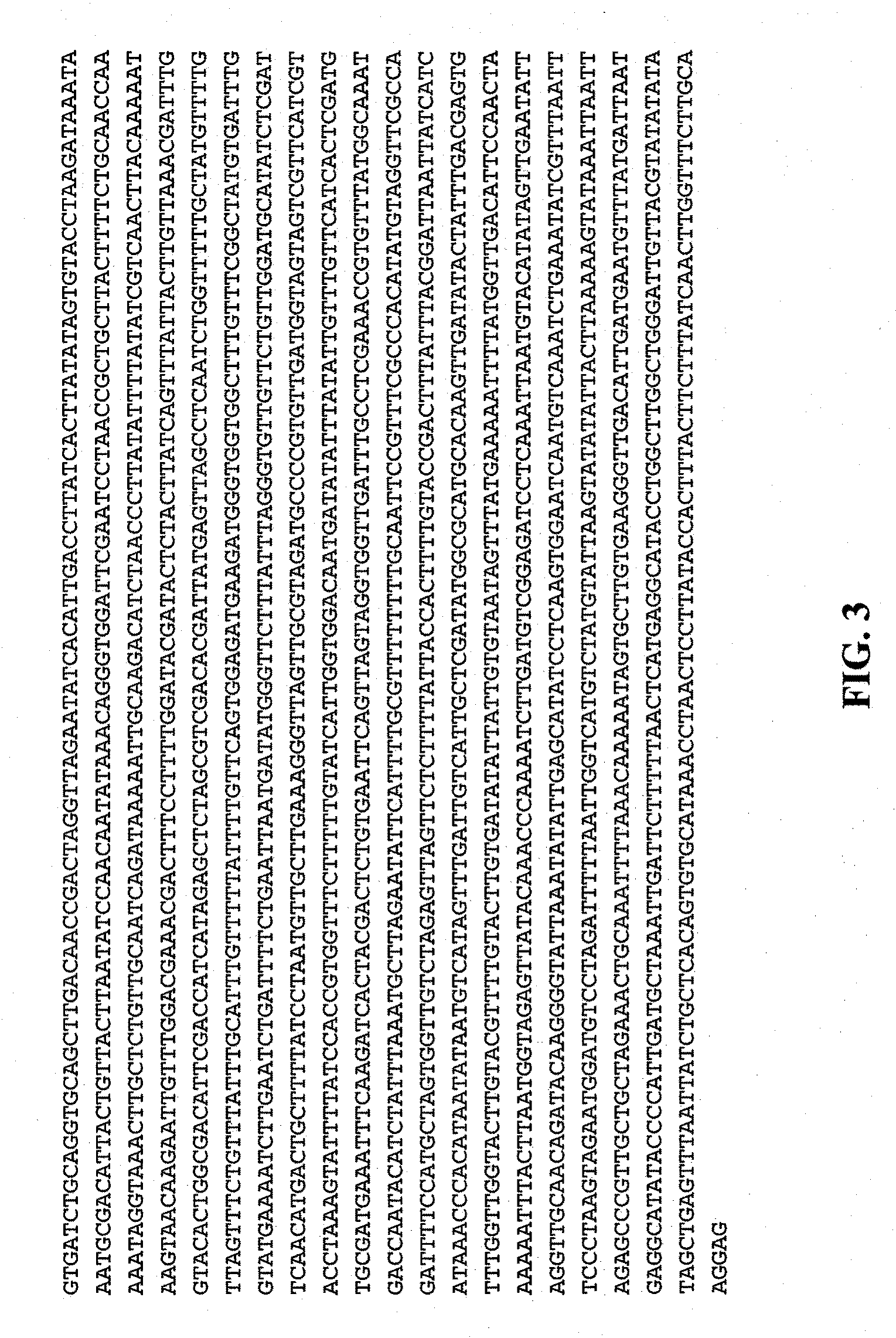 Root-specific phosphate transporter promoters