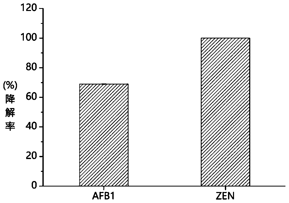 Laccase TvLac, and coding gene and application thereof