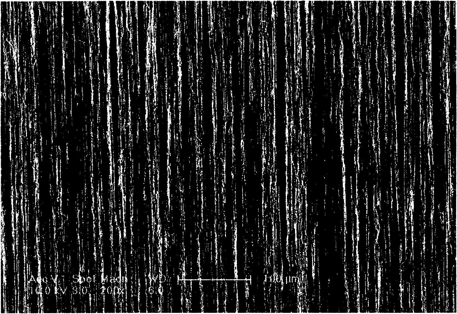 Carbon nano tube composite structure