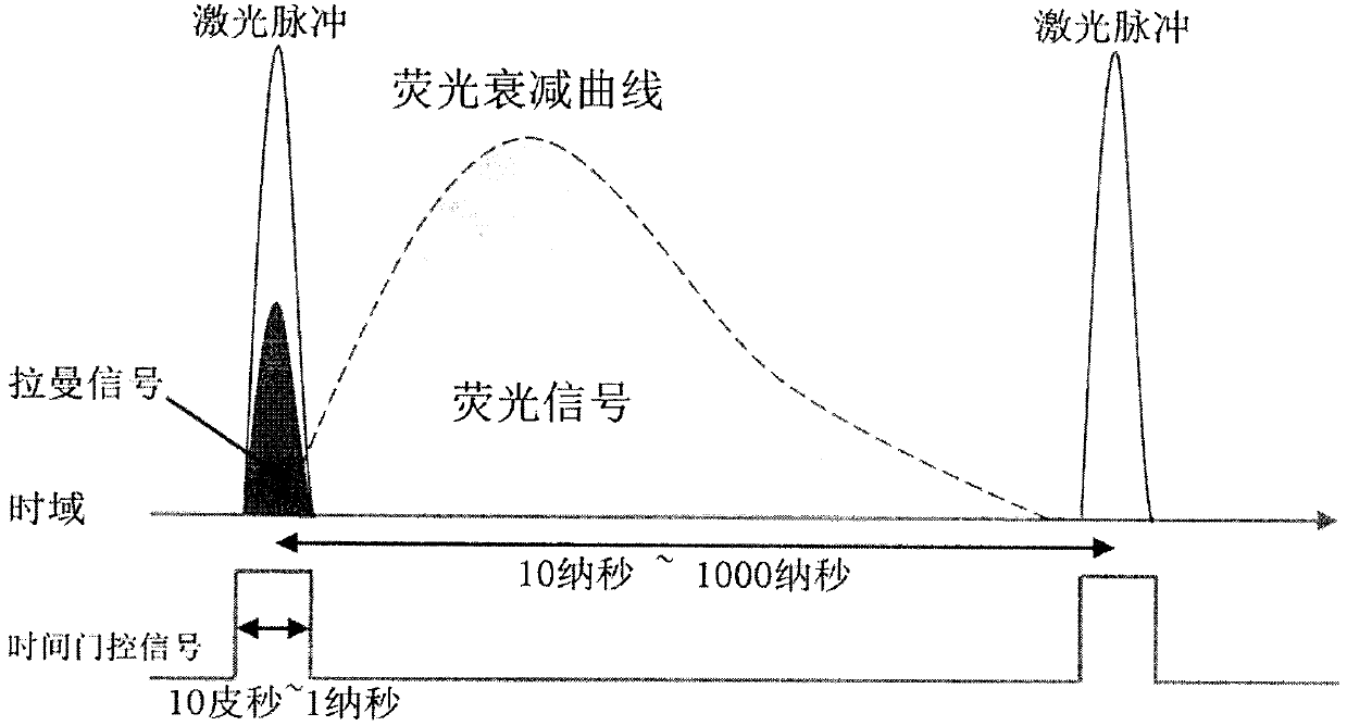 Time correlation Raman-fluorescence lifetime spectrometer based on SPAD