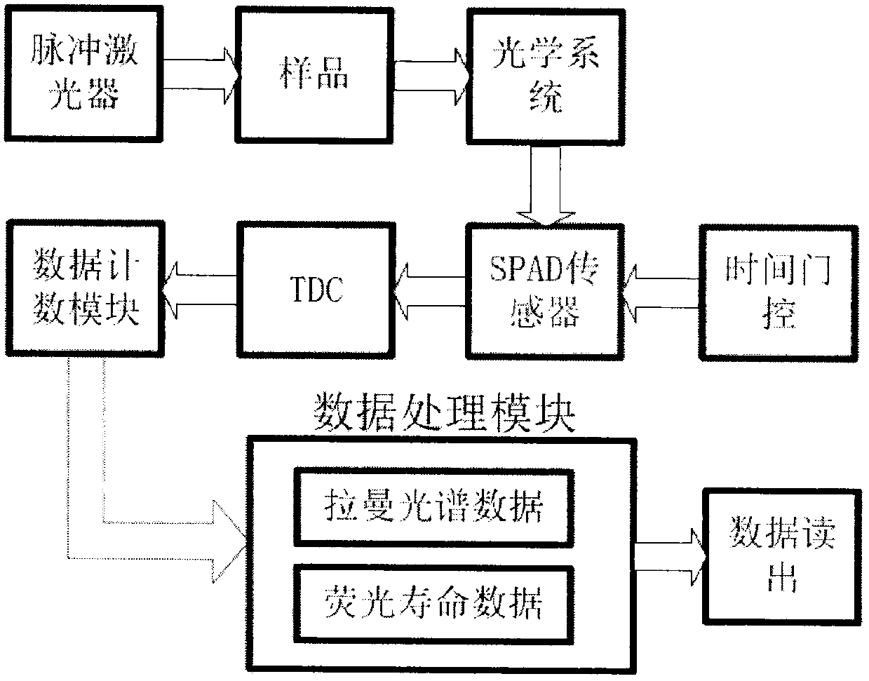 Time correlation Raman-fluorescence lifetime spectrometer based on SPAD