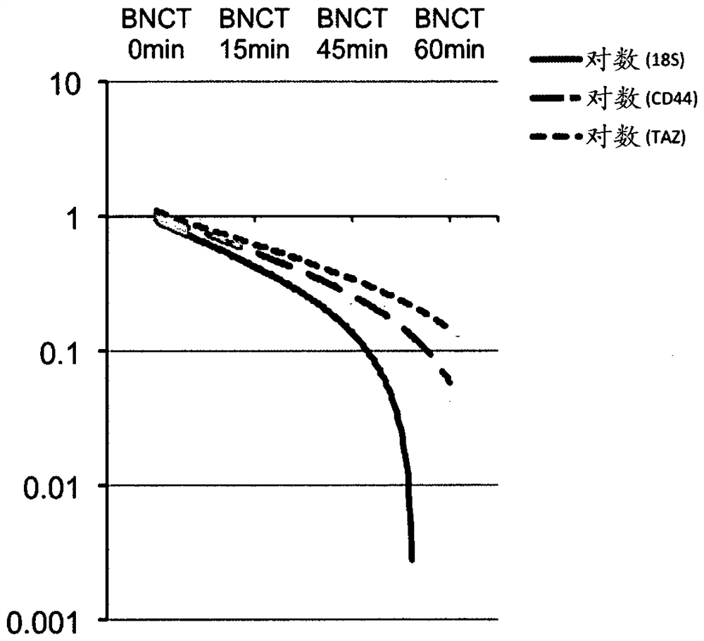 Cancer lesion tissue evaluation for optimizing effect of boron neutron capture therapy