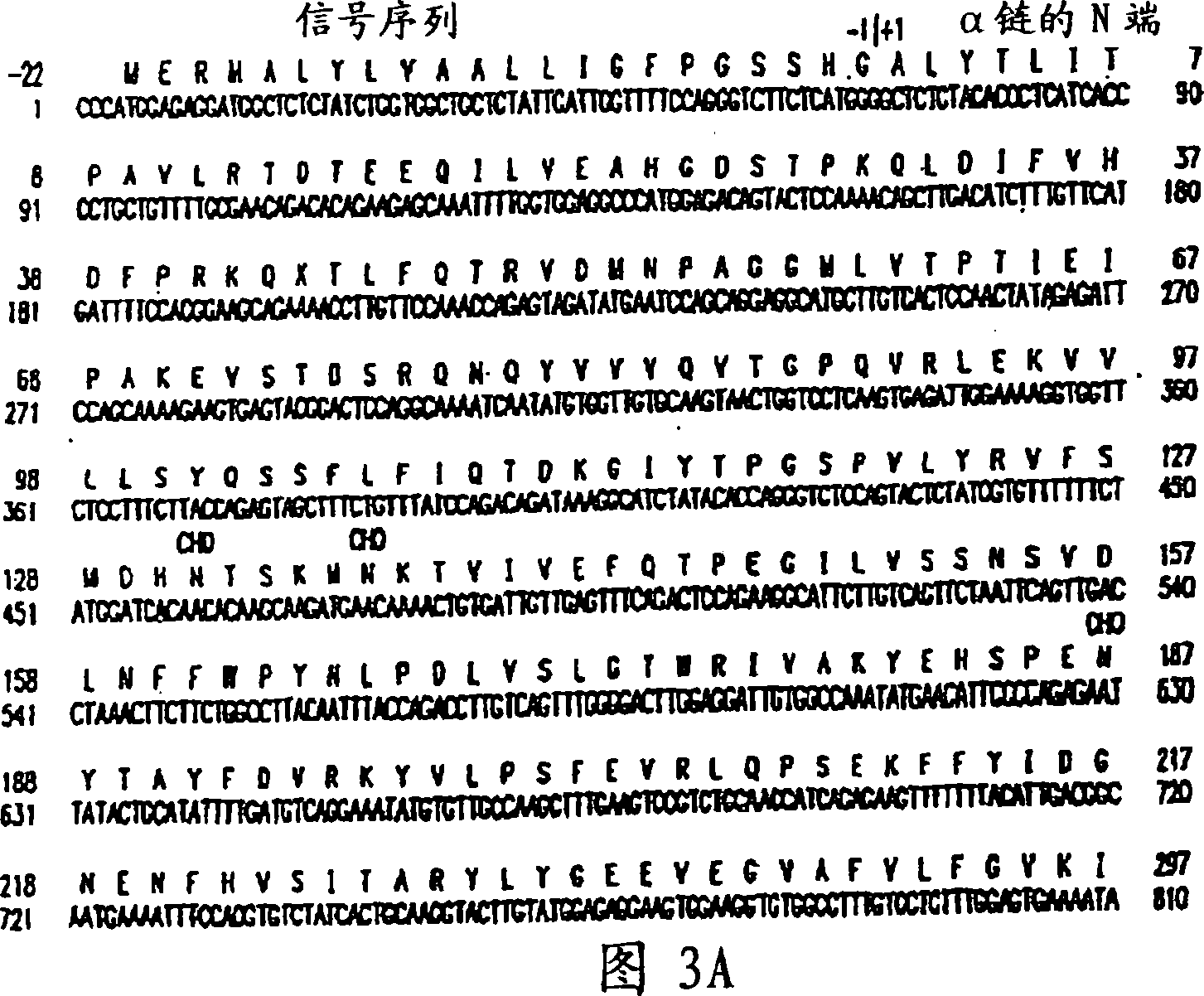 Human complement c3 derivatives with cobra venom factor-like function