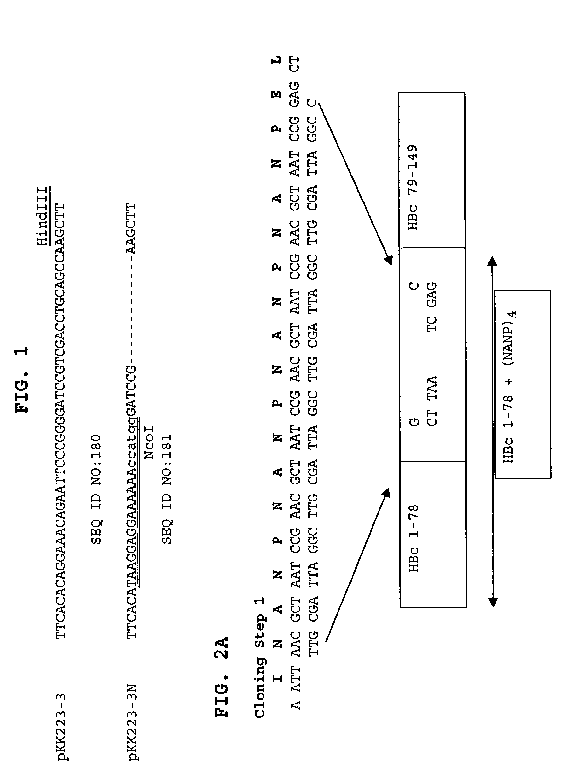 Malaria immunogen and vaccine