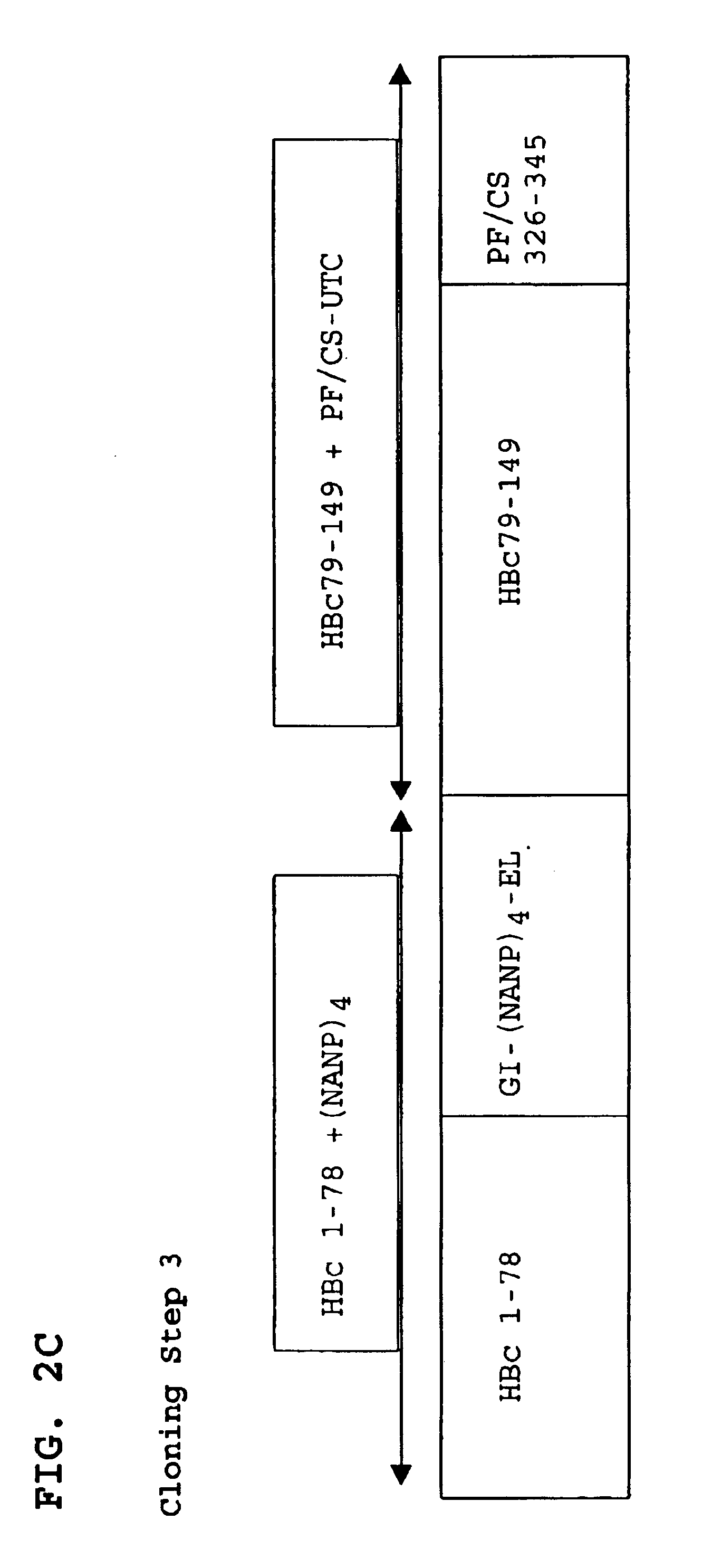 Malaria immunogen and vaccine