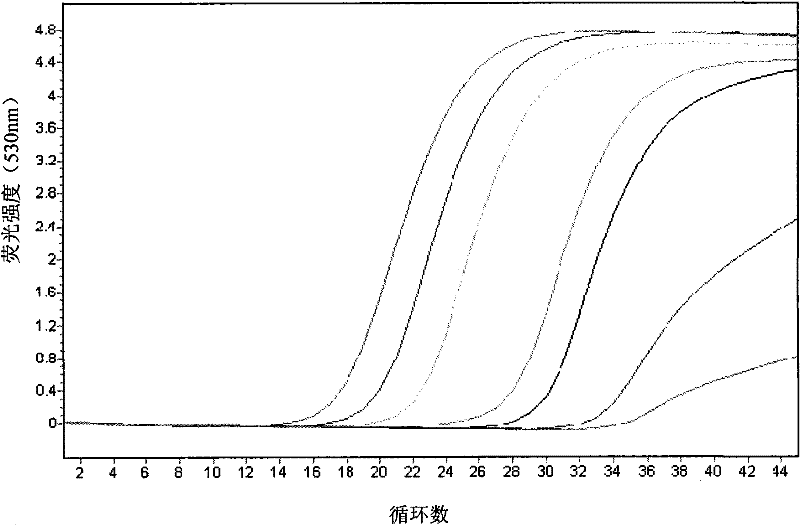 Kit for detecting eastern equine encephalitis virus and west equine encephalitis virus by real-time fluorescence quantitative RT-PCR